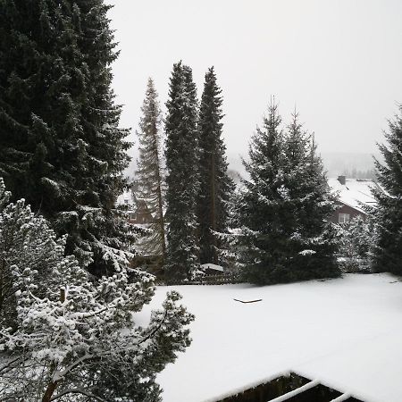 Ferienwohnung Braunlage Oberharz Exterior foto