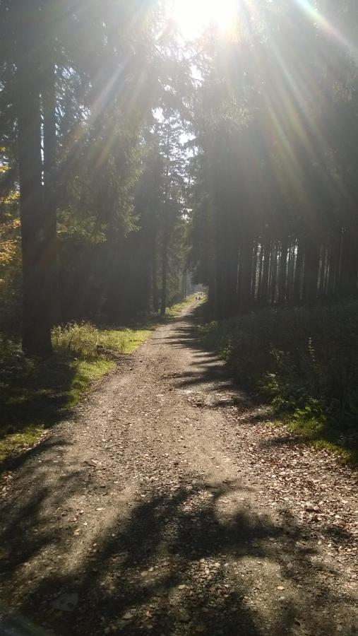 Ferienwohnung Braunlage Oberharz Exterior foto