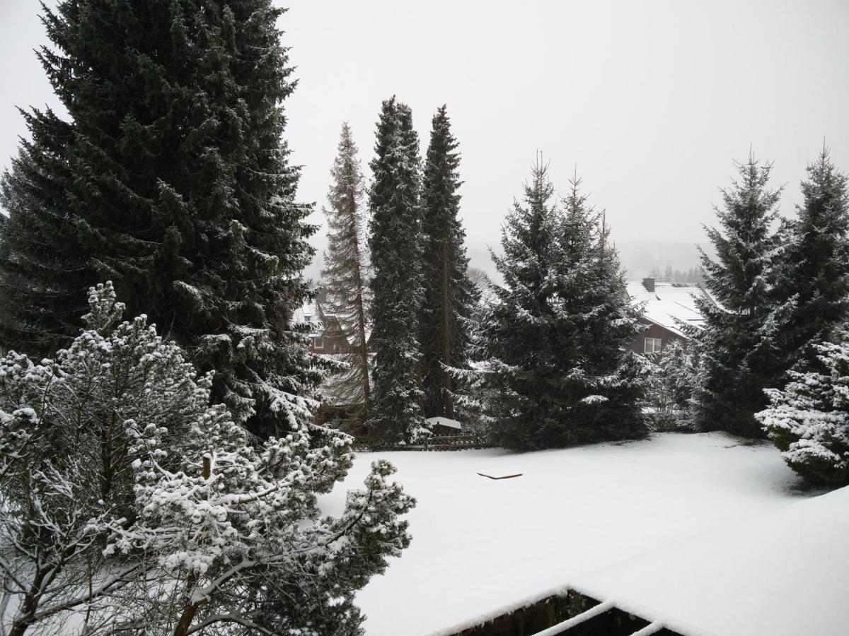 Ferienwohnung Braunlage Oberharz Exterior foto